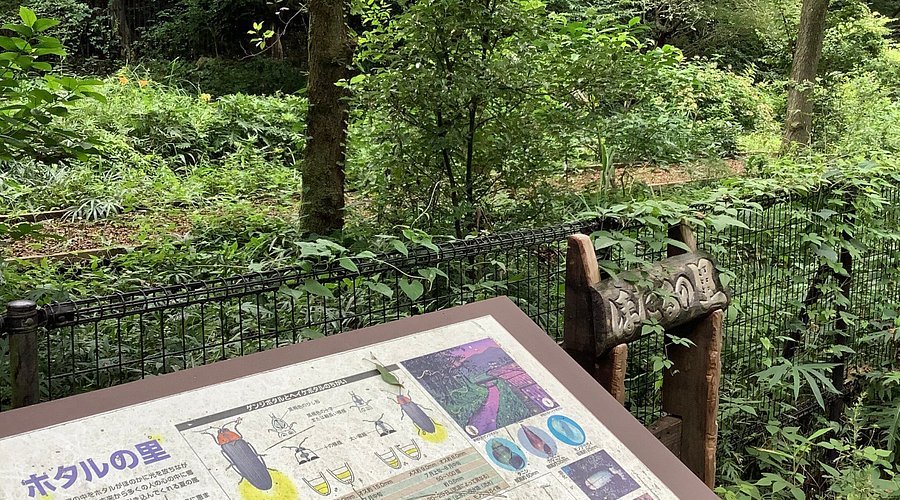 🏞️ 노가와 공원 (노가와코엔)